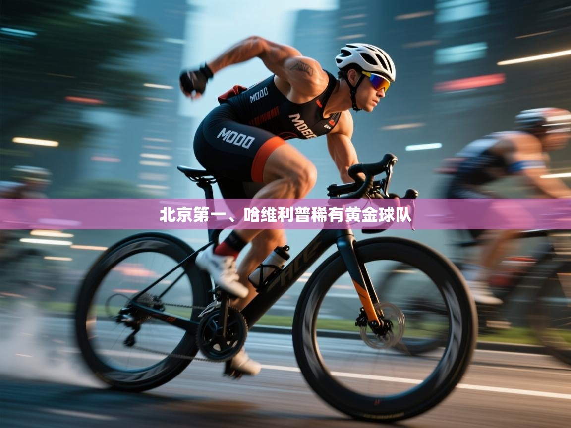 北京第一、哈维利普稀有黄金球队 第1张