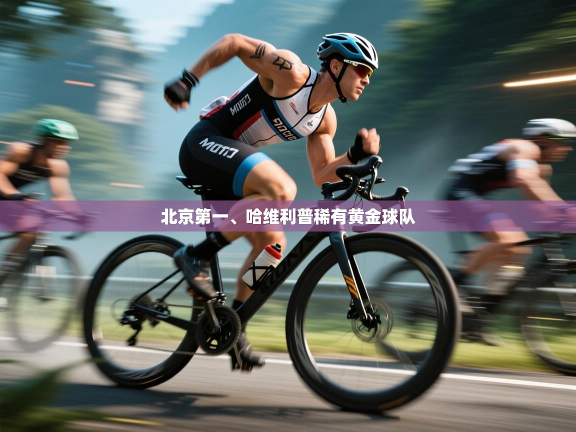 北京第一、哈维利普稀有黄金球队 第2张