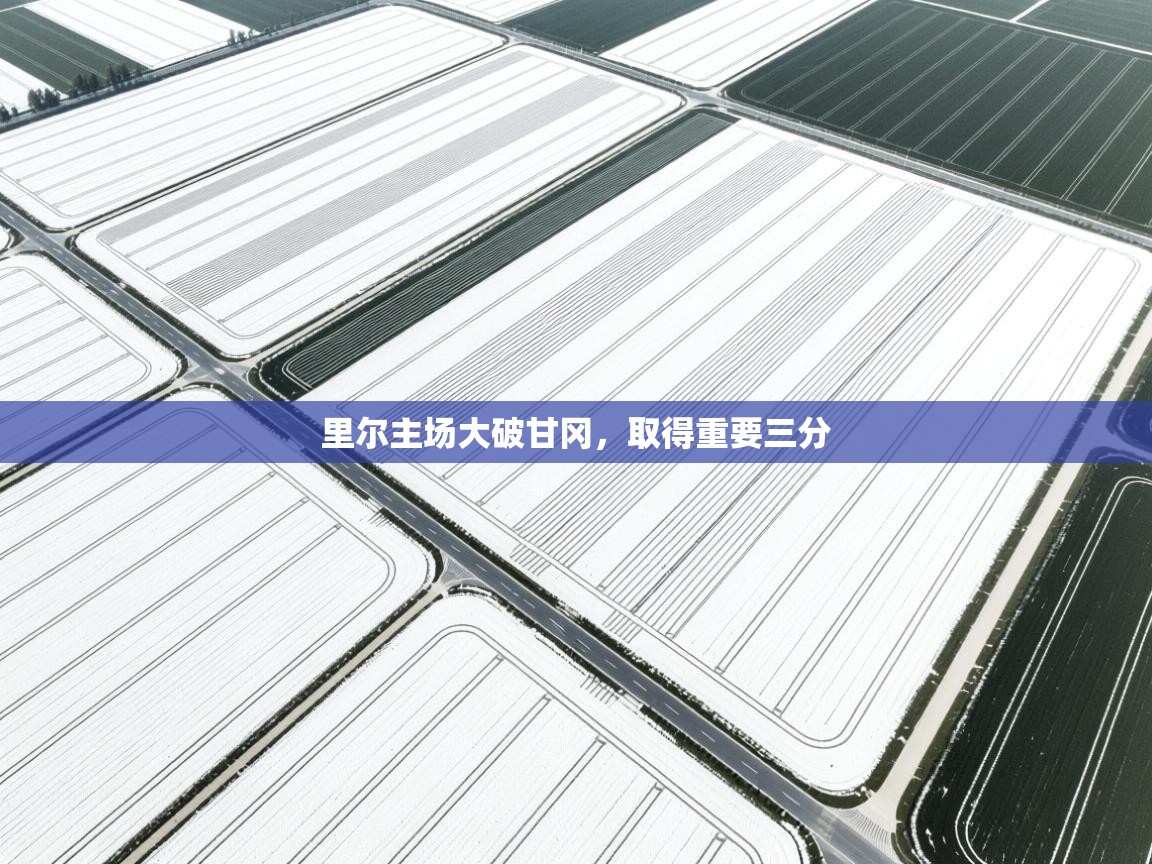 里尔主场大破甘冈，取得重要三分  第2张