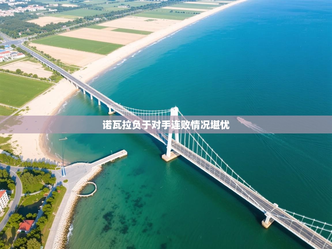 诺瓦拉负于对手连败情况堪忧  第1张