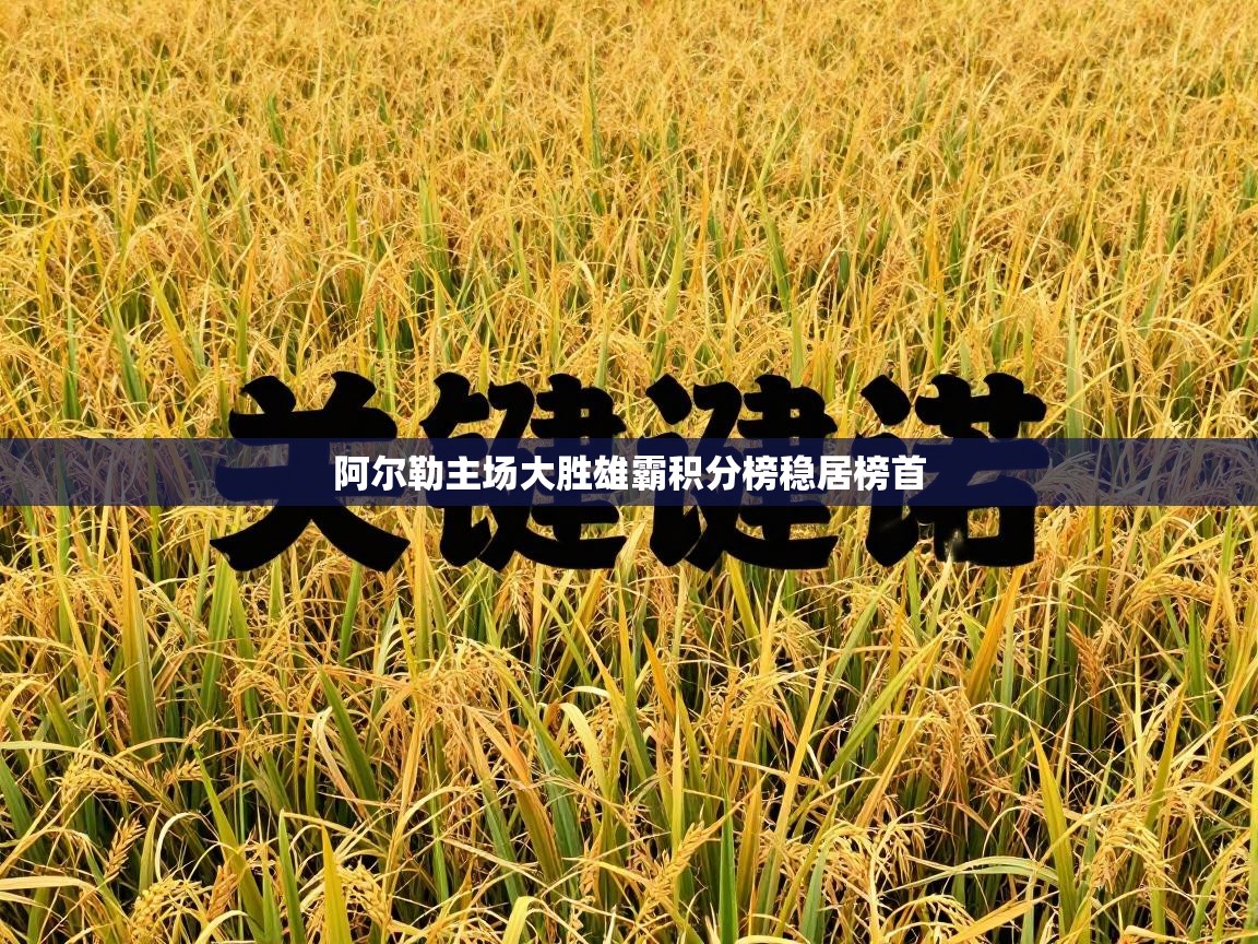 阿尔勒主场大胜雄霸积分榜稳居榜首  第2张