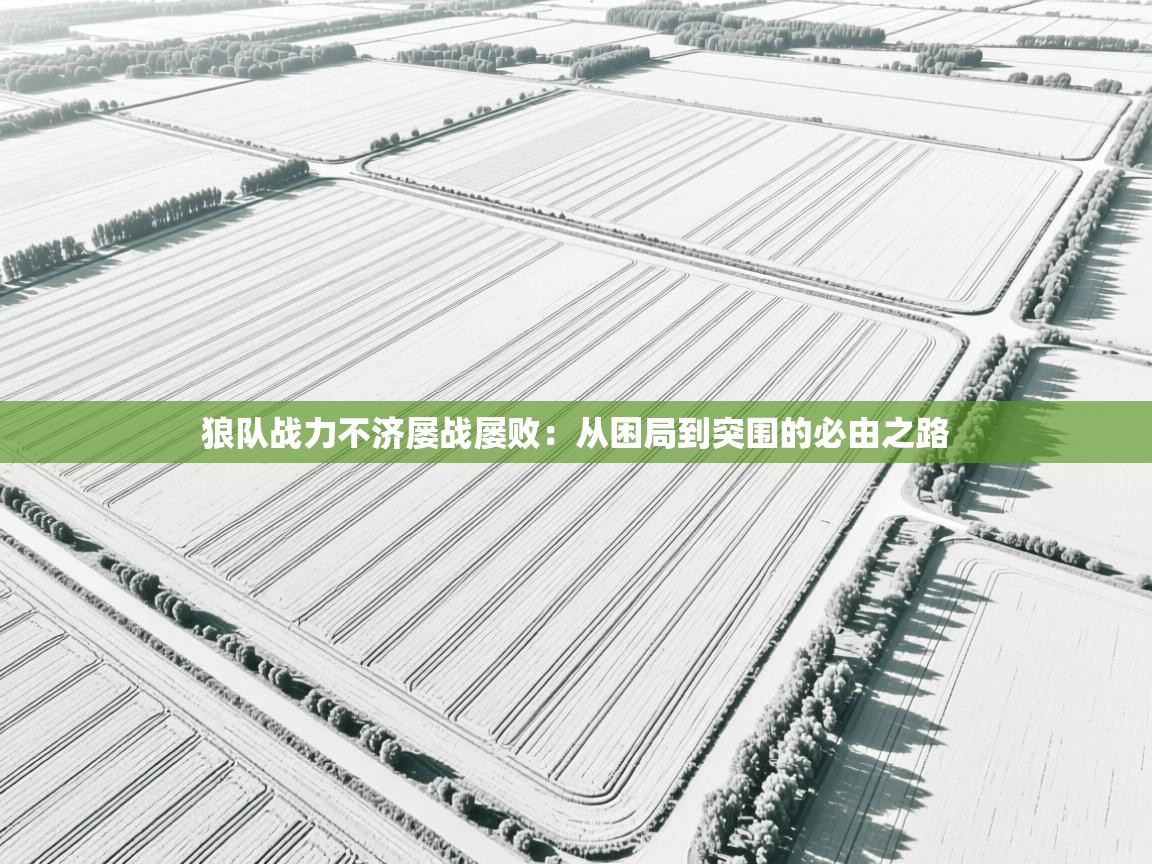 狼队战力不济屡战屡败：从困局到突围的必由之路