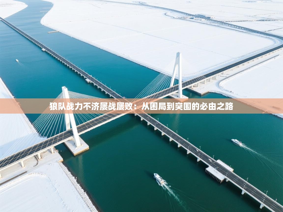 狼队战力不济屡战屡败:从困局到突围的必由之路 第2张