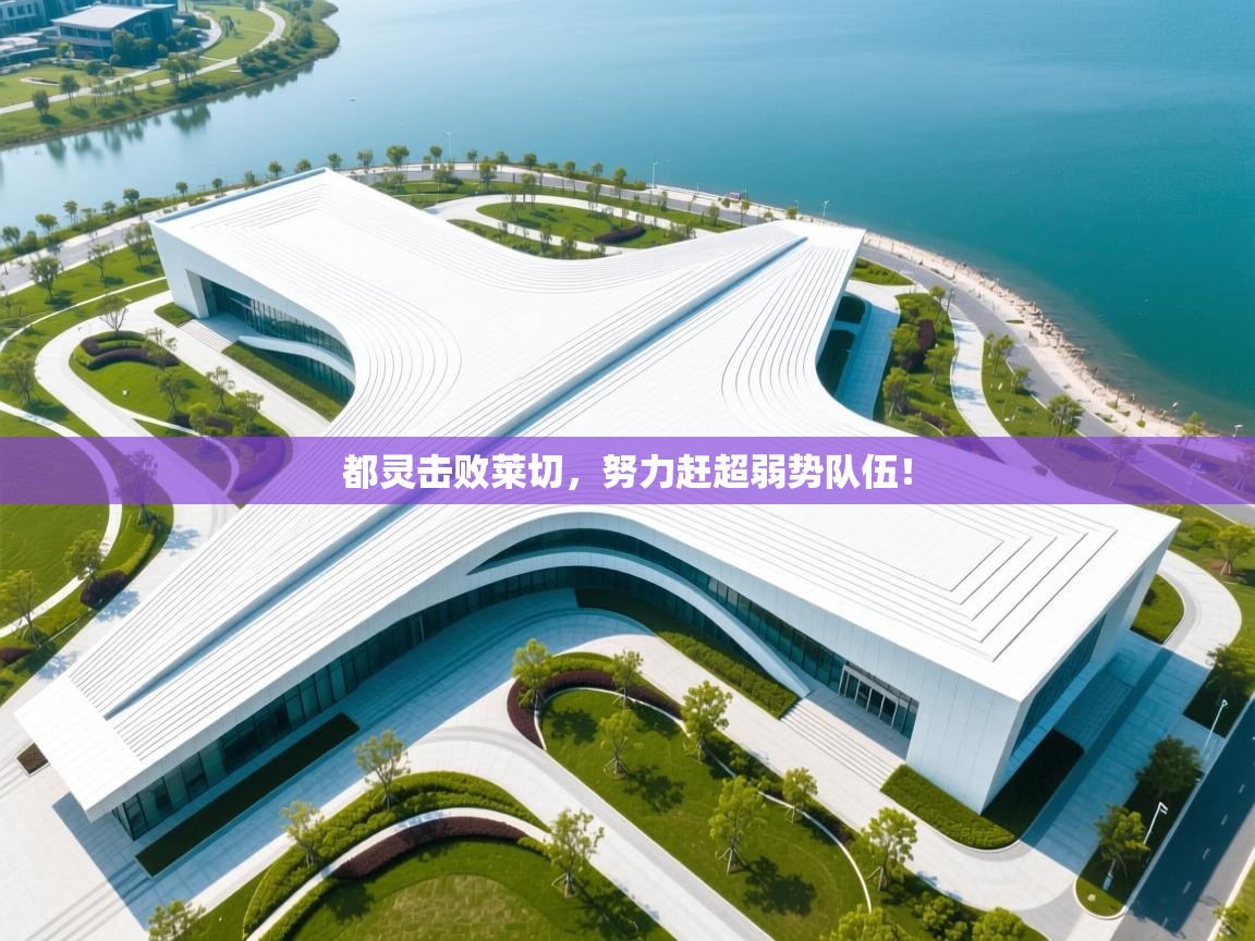 都灵击败莱切，努力赶超弱势队伍！