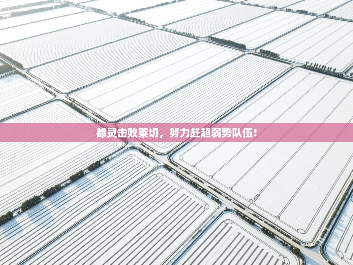 都灵击败莱切，努力赶超弱势队伍！  第2张