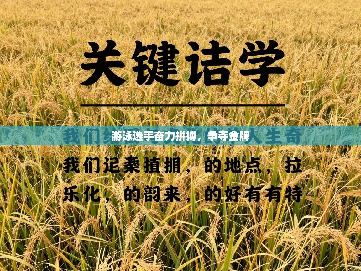 游泳选手奋力拼搏，争夺金牌