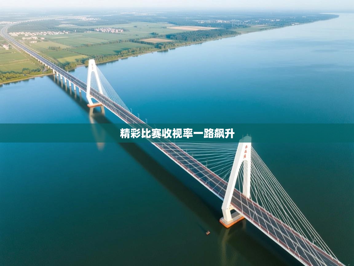 精彩比赛收视率一路飙升  第2张