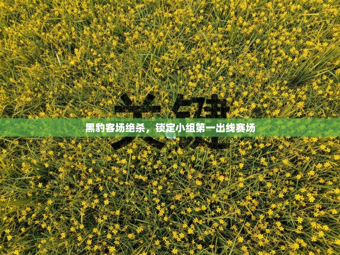 黑豹客场绝杀，锁定小组第一出线赛场  第2张