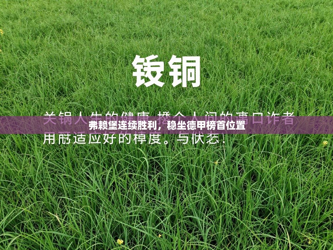 弗赖堡连续胜利,稳坐德甲榜首位置 第1张